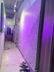 Liang Seah Place (D7), Shop House #554266351